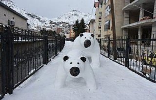Gümüşhane'de tır şoförünün kardan yaptığı...