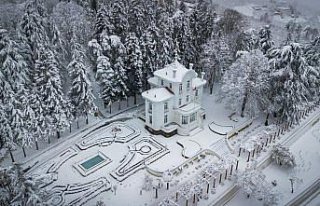 Gümüşhane'de yaban ve sokak hayvanları için...