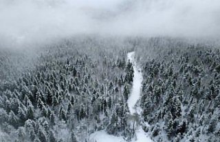 Karabük, Kocaeli ve Zonguldak'ta kar yağışı...
