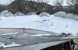 Karabük'te kar yağışı nedeniyle çöken...