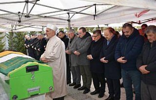 Kastamonu Valisi Meftun Dallı'nın kayınvalidesi...