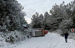 Kastamonu'da boş doğal gaz tüplerinin bulunduğu...