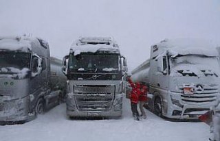 Kop Dağı Geçidi'nde kar ve tipi ulaşımda...