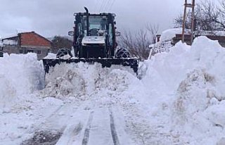 Ordu'da karla mücadele devam ediyor