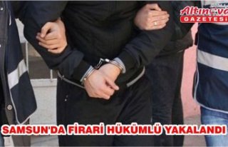 Samsun'da firari hükümlü yakalandı