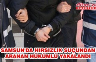 Samsun'da hırsızlık suçundan aranan hükümlü...