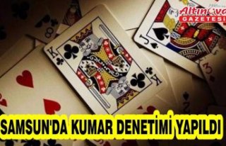 Samsun'da kumar denetimi yapıldı