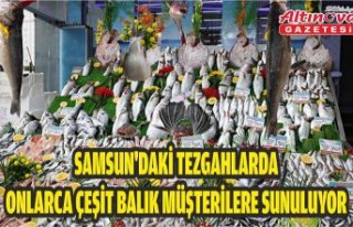 Samsun'daki tezgahlarda onlarca çeşit balık...
