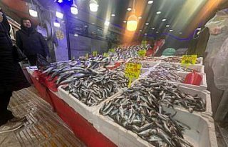 Samsun'da hamsinin kilogramı 130-150 liradan...