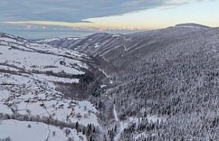 Alaçam'da karla kaplanan ormanlar dronla görüntülendi