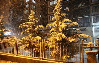 Tokat'ta kar yağışı etkili oluyor