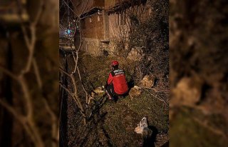 Tokat'ta korkuluklara sıkışan köpek itfaiyece...