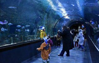 Trabzon Akvaryum geçen yıl 215 bini aşkın ziyaretçi...