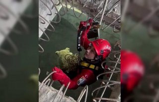 Trabzon'da 7 metrelik çukura düşen köpeği...