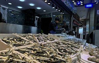 Trabzon'da balıkçı tezgahlarında hamsi ve...