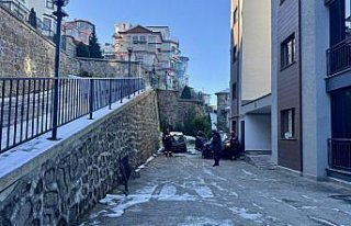 Trabzon'da site bahçesine devrilen aracın sürücüsü...