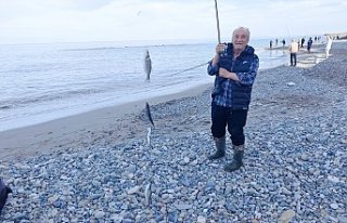 Yakakent'te kafesten kaçan balıklar amatör...