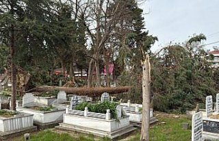Alaçam'da fırtına mezarlıkta hasara neden...