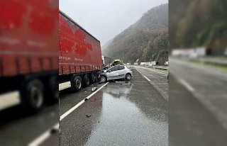 Artvin'de park halindeki tıra çarpan otomobildeki...
