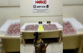 Artvin'de uyuşturucu operasyonunda 1 şüpheli...