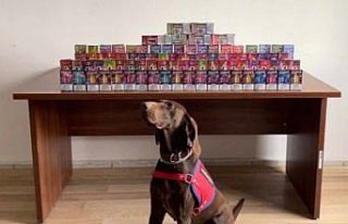 Bolu'da kaçak sigara operasyonunda 1 zanlı...