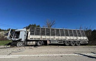 Bolu'da tırla çarpışan otomobilin sürücüsü...