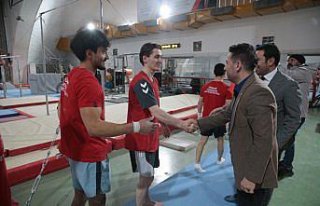 Cimnastik Federasyonu Başkanı Çelen, erkek milli...