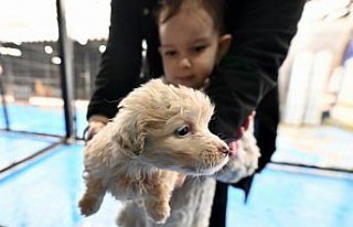 Çocuklar “can dostlar“ sayesinde dijital bağımlılıktan...