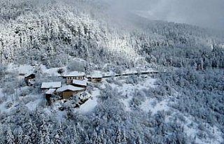 Düzce, Bolu, Kocaeli ve Karabük'ün yüksek...