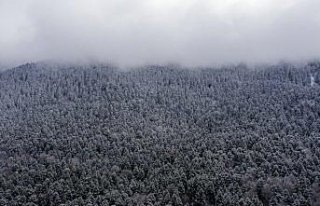 Gölcük Tabiat Parkı, Topuk Yaylası ve Karabük'teki...