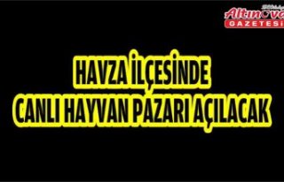 Havza ilçesinde canlı hayvan pazarı açılacak