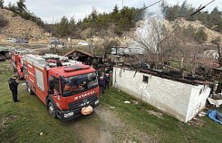 Karabük'te ahırda çıkan yangında 2 köpek...
