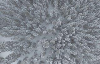 Kastamonu'nun yüksek kesimlerinde kar yağışı...