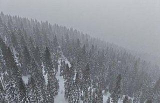 Kastamonu'nun yüksek kesimlerinde yoğun kar...