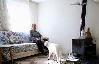 Kuzusunu yanından ayırmayan kadın görme engelli...