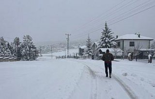 Niksar'da kar yağışı etkili oldu