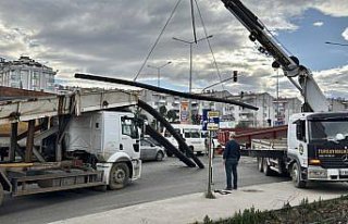 Ordu'da kamyonun dorsesindeki demirler düşerek...