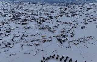 Ordu'da Perşembe Yaylası'nda kar festivali...