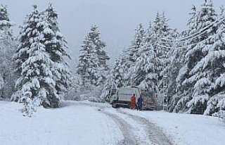Orta ve Doğu Karadeniz'de kar etkili oldu