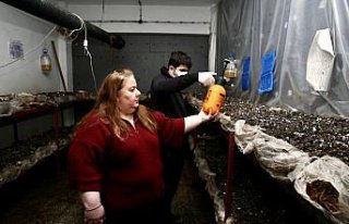 Robot ve insansız hava aracı geliştirirken sebze...