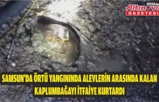 Samsun'da örtü yangınında alevlerin arasında...