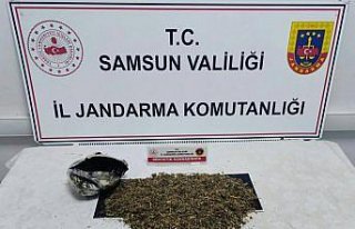 Samsun'da uyuşturucu operasyonunda 2 kişi yakalandı