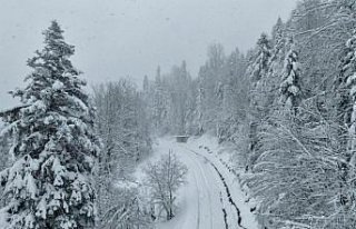 Sinop ve Samsun'da kar etkili oluyor