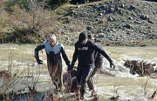 Tokat'ta kayıp olarak aranan kadının cesedi...