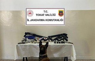 Tokat'ta silah kaçakçılığı operasyonunda...