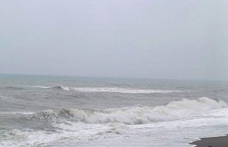 Akçakoca'da kuvvetli rüzgar etkili oldu