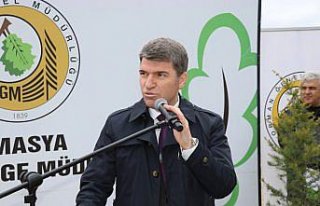 Amasya'da Orman Haftası'nda fidanlar toprakla...