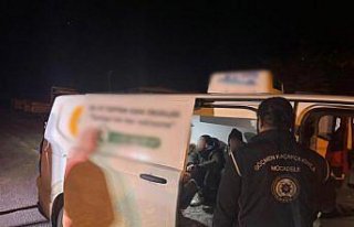 Artvin'de 10 düzensiz göçmen yakalandı, 2 zanlı...