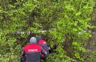 Artvin'de dereye devrilen otomobilin sürücüsü...