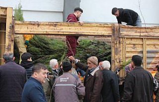 Bafra'da “Dünya Ormancılık Günü“ etkinliğinde...